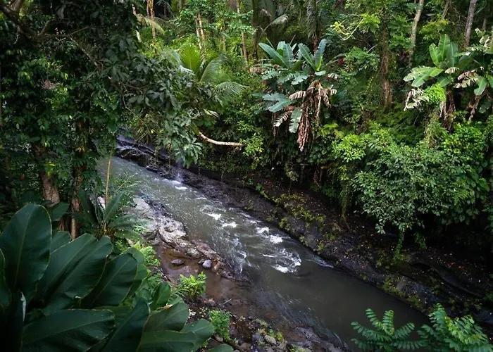 Zen River House, Secluded Tranquil Retreat In Nature Ubud