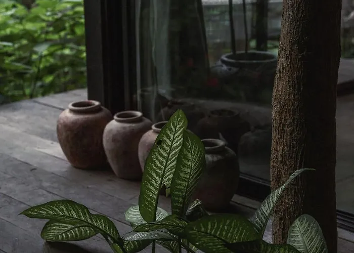 Zen River House, Secluded Tranquil Retreat In Nature